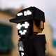 NaviVox