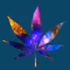 galaxyleafsnft