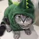 MrStev3_HC