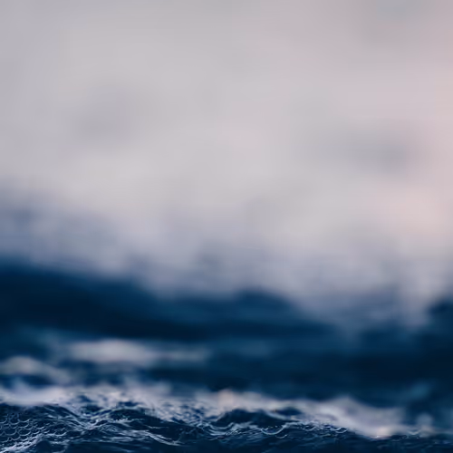 OpenSea banner for @SABBATICAL