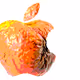 VIVE_LE_ROCK