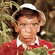 Gilligan