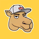camelsnftvault