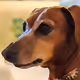 doxigirl