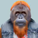 Nick_The_Ape