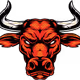 NyBull
