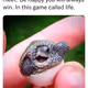 MagicTurtle808