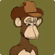 ebrakejakevault