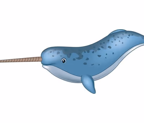 OpenSea profile picture for @Narwhal