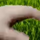 esdfdsfg