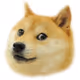 altsh1ft