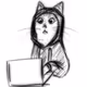 meowing_cat