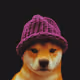 zDOGWIFHAT