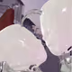 0xbfb9220c1d086e9b03e33a6710659fa345c1e241