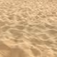 sandyboss