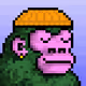 capi_kong