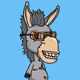 WinterDonkey