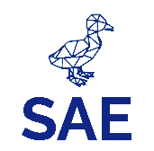 OpenSea profile picture for @SAEN