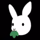 StarryKim