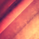 DBACONBOY_COLLECTION