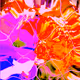 0xc02dca8da703c6a6367448bc0742f3a8da3587a9