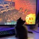 mewmew00