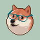 trapdoge