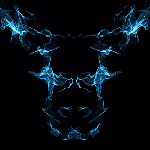 OpenSea profile picture for @Stalk