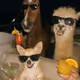 thethinkerr