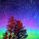 0xc07173dcadb36a20933380ed7be0d81a4f6e0df7