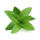 MintDAO