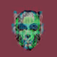 Mr_Copernicus_Vault