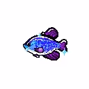 OpenSea profile picture for @FreshWater