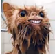 17301