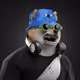 0xc0ece98cea1c5728a782da818c20db6c3a2f0d0f