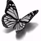 0xc11778679a4b7be52f63be6b152643549db2c246
