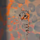 weirdflower.eth