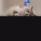 f00n