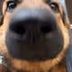 ruggy2