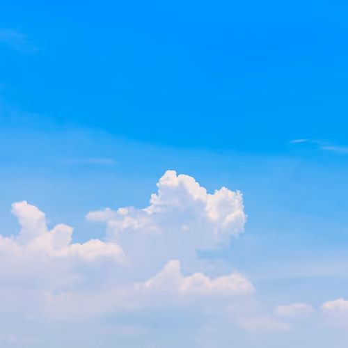 OpenSea banner for @Shrivel