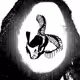 weepingsnakes