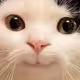 Chuki93