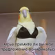 Mr_Micle