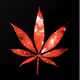 _Bloodmoney420_