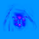0xc1eab3627c1b7b6410d52438b0ac0bb266355079