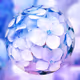 sawaco_NFT