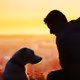 hachiko