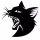 Gato_Bravo