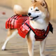 KensukeTashimoto