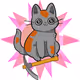 cryptopumpkincats